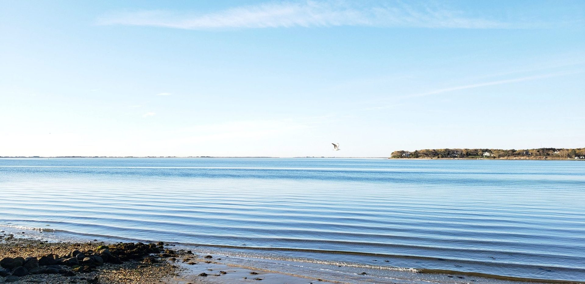 Summer beach day on Shinnecock Bay with paddleboarders and kayakers, Hampton Bays, NY